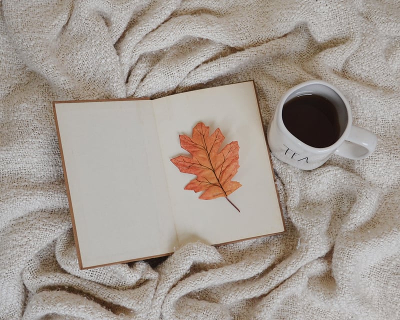 Cozy Reading Nook